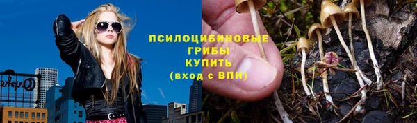 эйфоретик Баксан