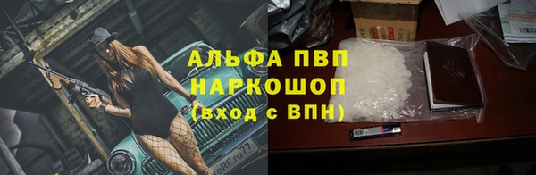эйфоретик Баксан