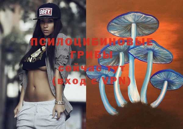 соль ск Балахна