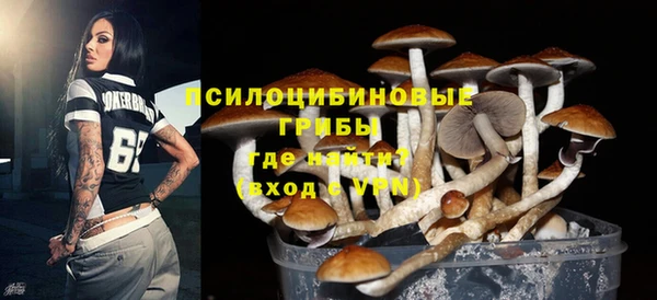 эйфоретик Баксан